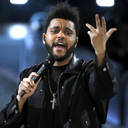 [artists_name] Booking Agent